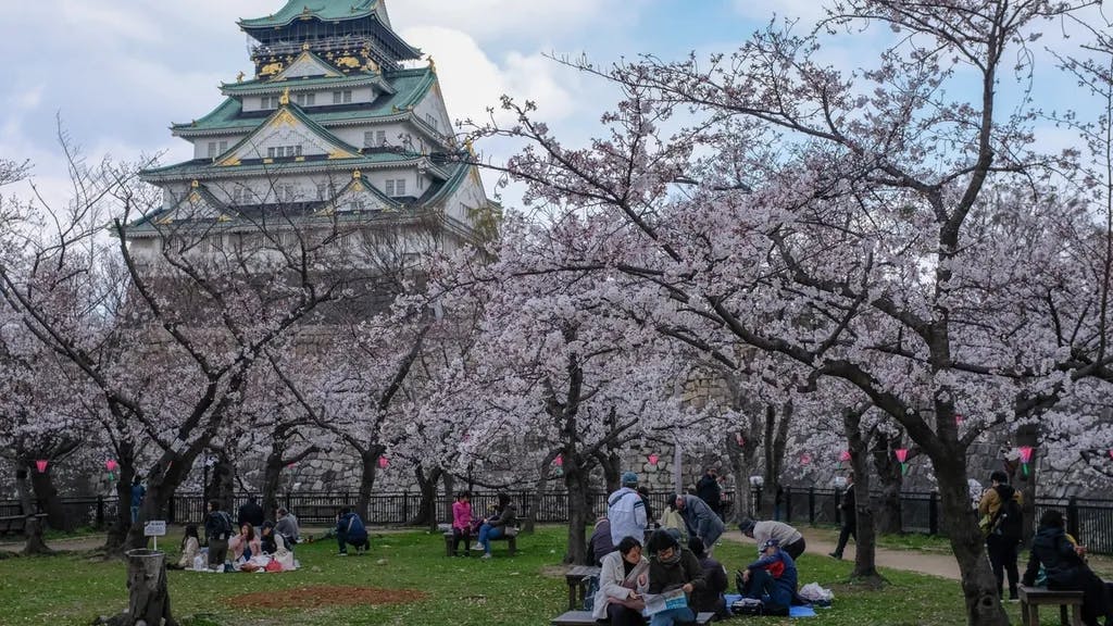 Cover Image for Spring in Japan: Osaka, Kyoto, Nara