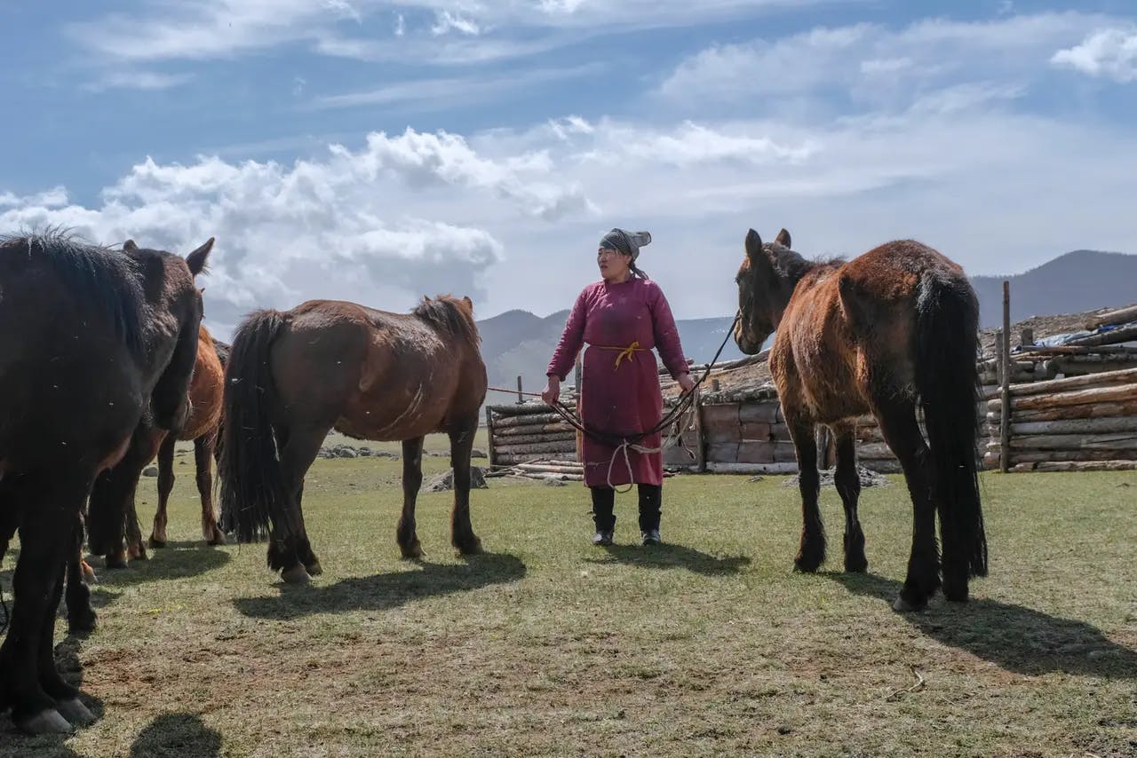 Our Gher host looking after the horses in Orkhan Valley, Mongolia